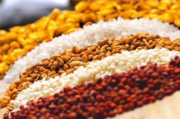 春分至萬物生 五糧新播佳釀始